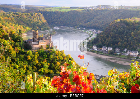 Burg Katz, Weinberg im Rheintal, Deutschland Stockfoto