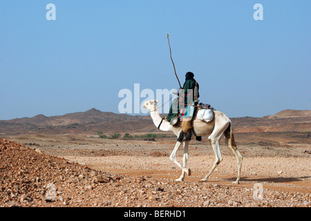 Tuareg Reiten Dromedar Kamel (Camelus Dromedarius) in der Sahara Wüste, Luft-Berge, Niger, Westafrika Stockfoto