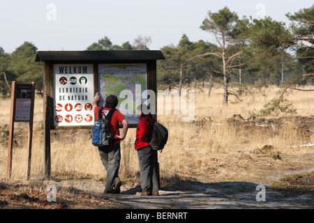 Wanderer sind lesen Info Panel im Wald, Natur reservieren Kalmthoutse Heide, Belgien Stockfoto