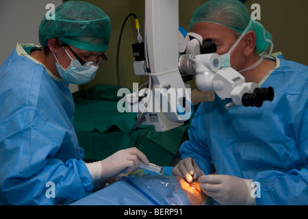 Augen-Operation - Linse zu implantieren Stockfoto