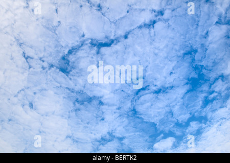 Altocumulus Wolkenbildung gegen einen blauen Himmel an Pembrey in mid Wales Stockfoto