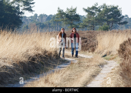 Wanderer in der Natur reservieren Kalmthoutse Heide, Belgien Stockfoto