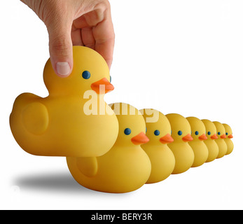 Erhalten Sie Ihre Enten in einer Reihe Stockfoto