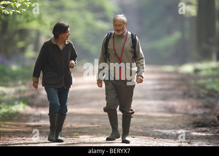 Wanderer in Buchenwald (Fagus Sylvatica) in der Avenue am Morgen, Brakel, Belgien Stockfoto