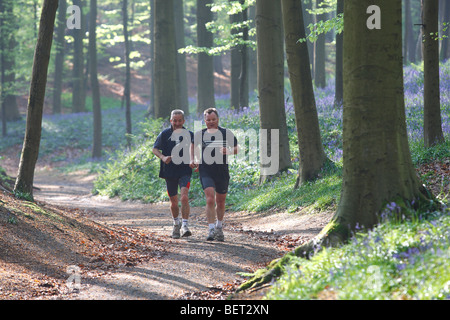 Jogger unter Glockenblumen (Endymion Nonscriptus) in Buchenwald, Hallerbos, Belgien Stockfoto