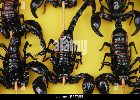 Skorpion Futtersticks, Peking Art Stockfoto