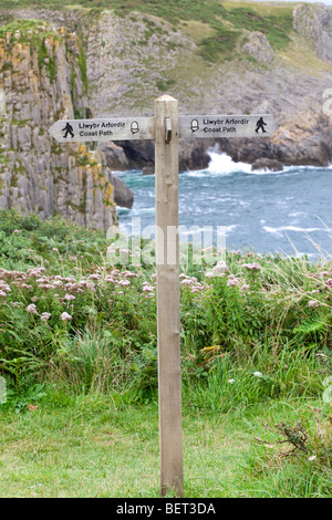 Der Pembrokeshire Coast Path National Trail in Skrinkle Haven, Pembrokeshire, Wales, Großbritannien Stockfoto