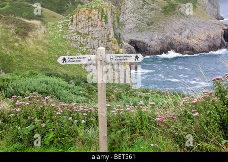 Der Pembrokeshire Coast Path National Trail in Skrinkle Haven, Pembrokeshire, Wales, Großbritannien Stockfoto