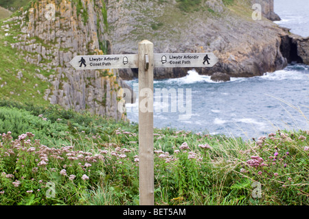 Der Pembrokeshire Coast Path National Trail in Skrinkle Haven, Pembrokeshire, Wales, Großbritannien Stockfoto