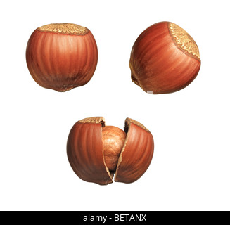 Isolierte Muttern auf weißem Hintergrund Stockfoto