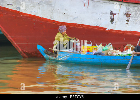 Leben auf dem Tonla-Sap-See, zwischen Battambang und Siem Reap. Kambodscha. Stockfoto