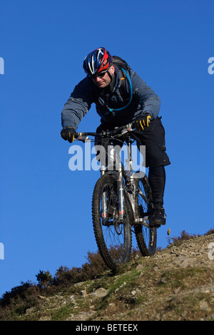 Mountainbiker fahren auf einem Hügel. Stockfoto