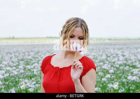 Schöne kaukasischen Frau in einem weißen Mohnfeld Stockfoto