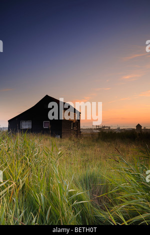 Sonnenaufgang über dem Walberswick.  Walberswick, Suffolk - England Stockfoto