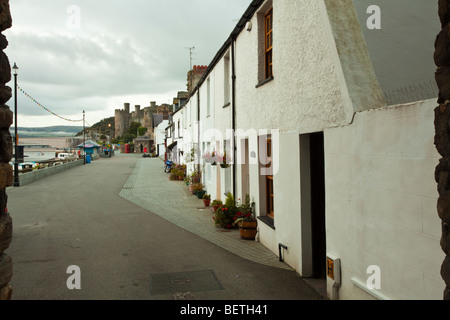 Reihe von urigen Hütten am Hafen in Conwy in Nordwales Stockfoto