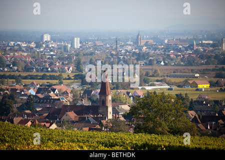 Weinberge Grand Cru von Wettolsheim Elsass Haut Rhin Frankreich in der Nähe von Colmar in Ferne, Nemausus Erntezeit Stockfoto