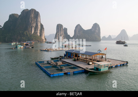 VIETNAM Tourismus und ANGELBOOTE/Fischerboote IN HALONG BAY Foto © Julio Etchart Stockfoto