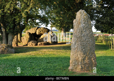 Megalith Grand Dolmen de Wéris und Menhir gemacht Konglomerat Gestein, Ardennen, Luxemburg, Belgien Stockfoto