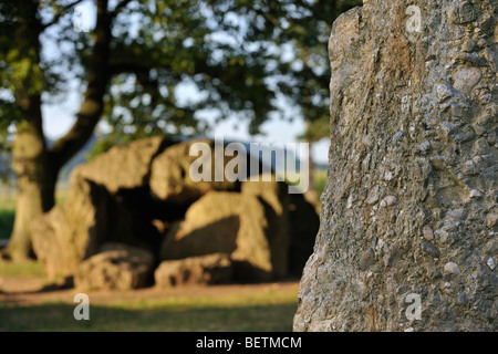 Megalith Grand Dolmen de Wéris und Menhir gemacht Konglomerat Gestein, Ardennen, Luxemburg, Belgien Stockfoto