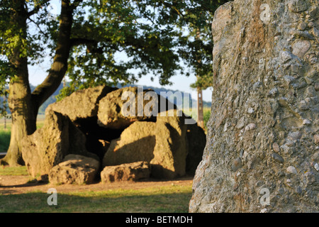 Megalith Grand Dolmen de Wéris und Menhir gemacht Konglomerat Gestein, Ardennen, Luxemburg, Belgien Stockfoto