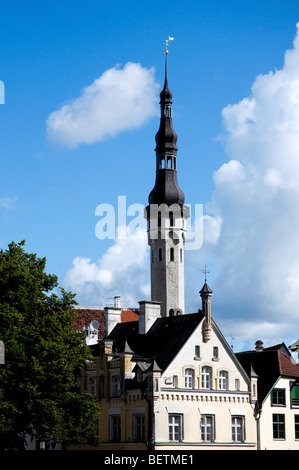 Der Turm des Rathauses von Tallinn, Estland Stockfoto