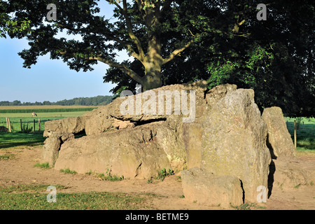 Megalith Grand Dolmen de Wéris gemacht Konglomerat Gestein, Ardennen, Luxemburg, Belgien Stockfoto