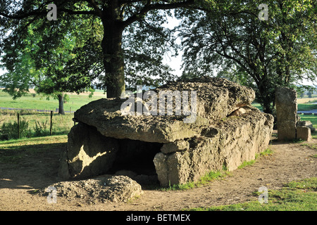 Megalith Grand Dolmen de Wéris und Menhir gemacht Konglomerat Gestein, Ardennen, Luxemburg, Belgien Stockfoto