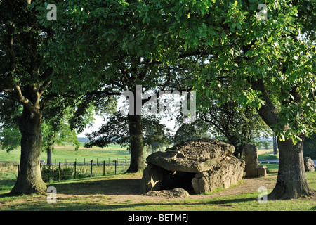 Megalith Grand Dolmen de Wéris und Menhir gemacht Konglomerat Gestein, Ardennen, Luxemburg, Belgien Stockfoto