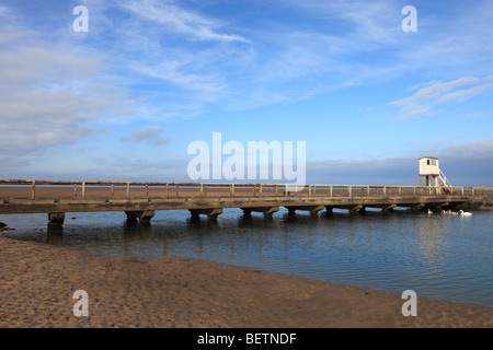 Schwäne auf Holy Island Causeway, Northumberland, England Stockfoto