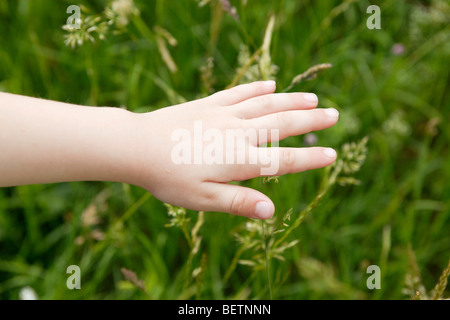 ein Kind an der Hand berühren Gräser Stockfoto