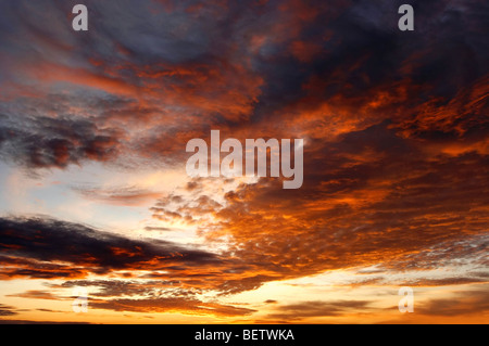 rosa Himmel - Dämmerung Stockfoto