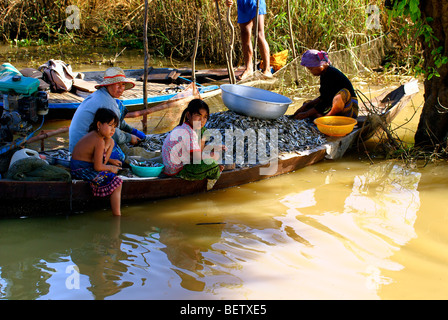 Leben auf dem Tonla-Sap-See, zwischen Battambang und Siem Reap. Kambodscha. Stockfoto