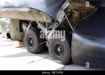 Fahrwerk einer Transall c-160 Stockfoto