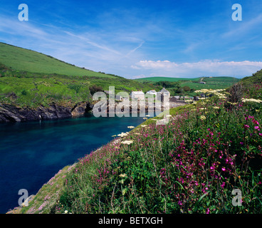 Das Hamlet von Port Quint an der Nordküste von Cornwall bei Port Isaac Cornwall, England Stockfoto