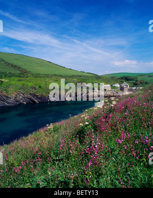 Das Hamlet von Port Quint an der Nordküste von Cornwall bei Port Isaac Cornwall, England Stockfoto