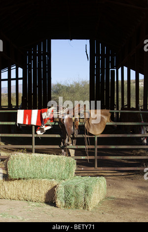 Pferdesattel, Decke, Lasso und Chaps sind bereit für den Einsatz in einer Scheune. Stockfoto