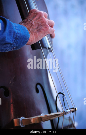 Süd-Arizona alte Zeit Fiddlers führen am Tucson treffen Sie sich, ein Multi-Kulti-fest in Tucson, Arizona, USA. Stockfoto