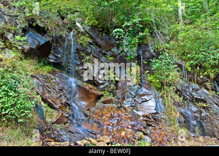 Tropft entlang Little River Road, Great Smoky Mountains National Park, Tennessee Stockfoto