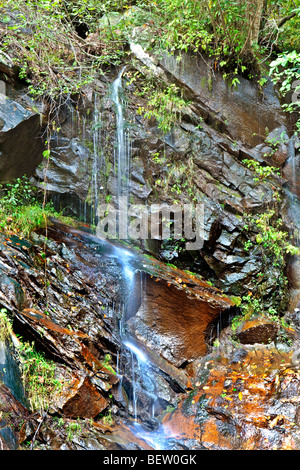 Tropft entlang Little River Road, Great Smoky Mountains National Park, Tennessee Stockfoto