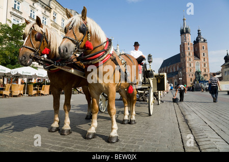 Pferdekutsche, warten auf Touristen Passagiere in The Main Market Square / Marktplatz & St Marys Basilica. Krakau. Polen. Stockfoto