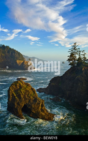 Oregon Küste südlich von natürlichen Brücken Aussichtspunkt, Samuel H. Boardman State Park. Stockfoto