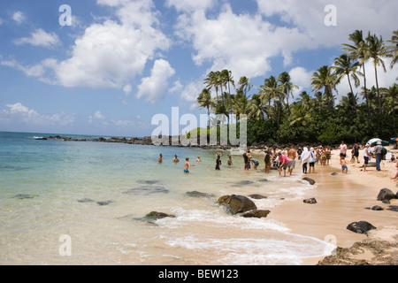 Leute zu beobachten, grüne Meeresschildkröten schwimmen, Laniakea Beach, Honolulu, Hawaii Oahu island Stockfoto
