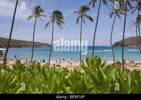 Blick auf Strand, Hanauma Bay Nature Preserve, Honolulu Hawaii Stockfoto