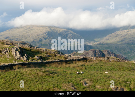 Abend-Blick vom Ulpha verliebte sich in den Lake District, Cumbria Stockfoto