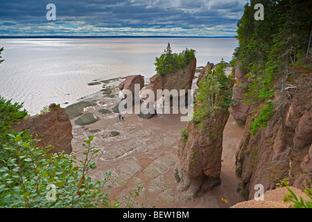 Blumentopf-Felsen, Hopewell Rocks, Hopewell Cape, Shepody Bay, Chignecto Bay, Bay Of Fundy, Albert, Highway 114, Fundy Küste Dri Stockfoto