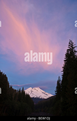Dawn Himmel und Wolken über Mount Baker von Boulder Creek in der Nähe von Baker Lake, Washington. Stockfoto
