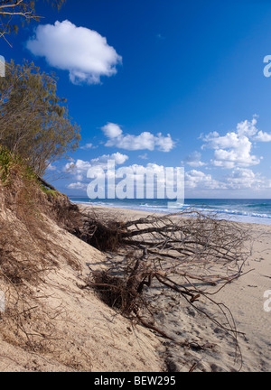 Strand-Erosion auf Rainbow Beach Queensland Australien vom Anstieg des Meeresspiegels Stockfoto