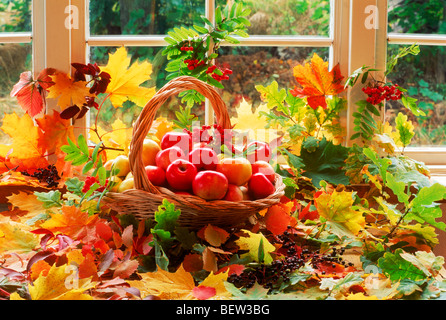 Äpfel und Blätter des Herbstes auf indoor Tischgesteck Stockfoto