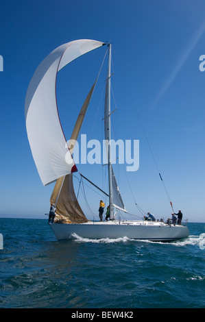 Yacht konkurriert in Team-Segel-Event, California Stockfoto