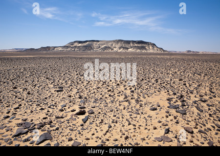 Schwarze Wüste, libysche Wüste, Ägypten Stockfoto